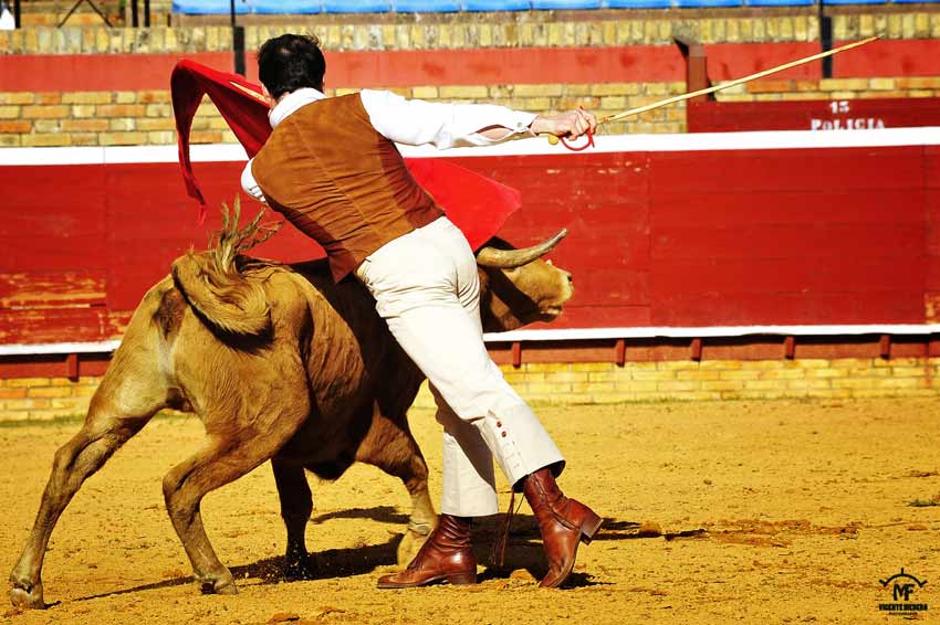 Tentadero en La Merced.