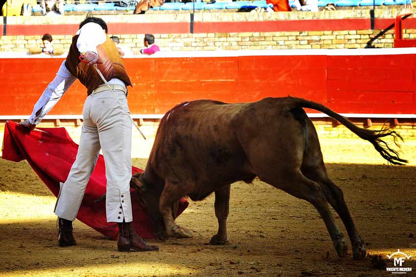 Tentadero en La Merced.