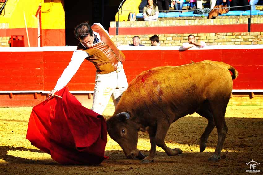 Tentadero en La Merced.