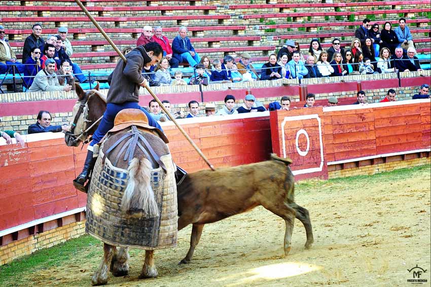 Tentadero en La Merced.