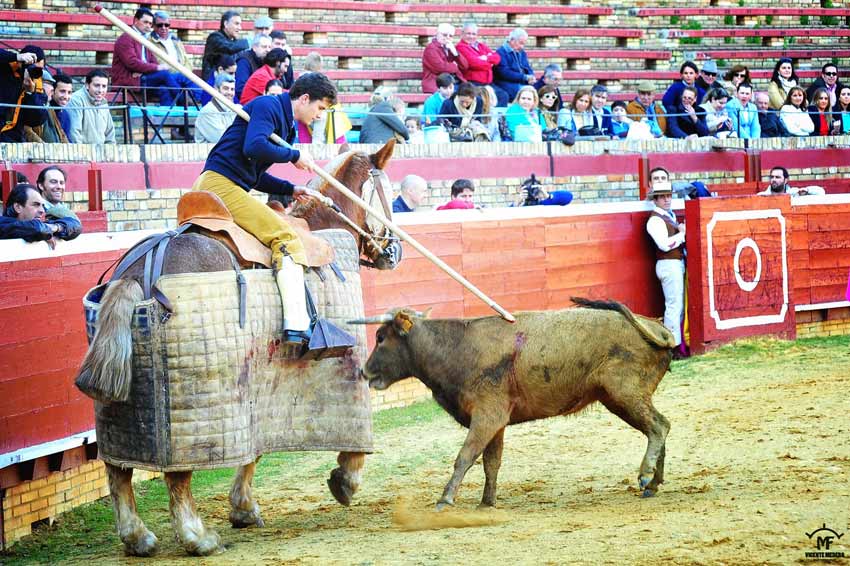 Tentadero en La Merced.