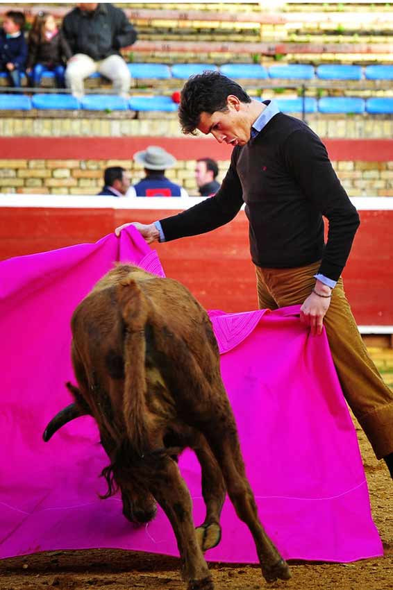 Tentadero en La Merced.