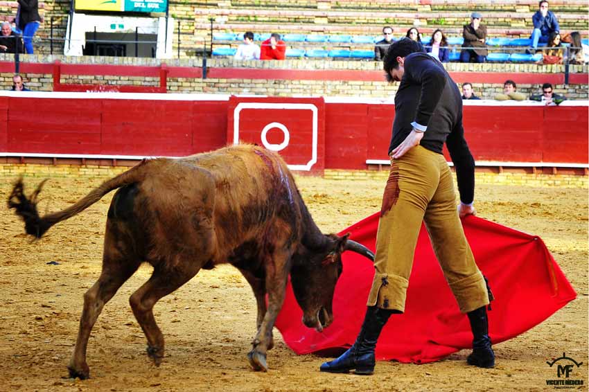 Tentadero en La Merced.