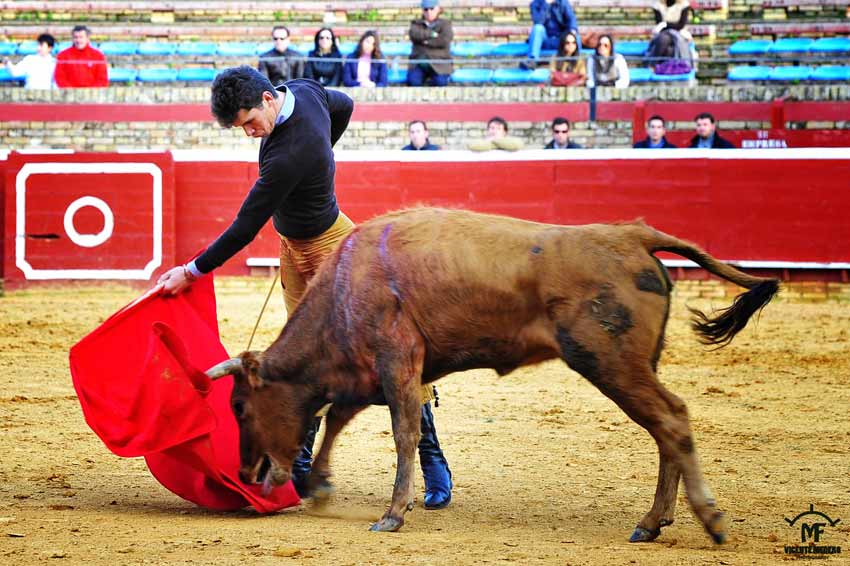 Tentadero en La Merced.