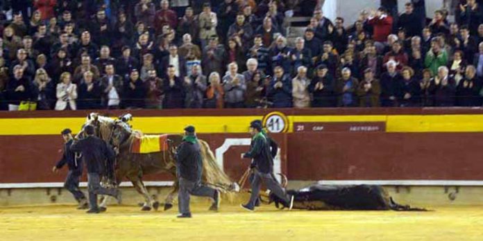 Vuelta al ruedo a un toro de Cuadri hoy en Castellón.