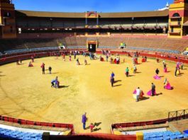 Vista de la plaza de toros de Huelva. (FOTO: Vicente Medero)