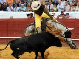 Tercio de varas del toro 'Arito' de Guardiola, en la corrida concurso de Valverde del año pasado.