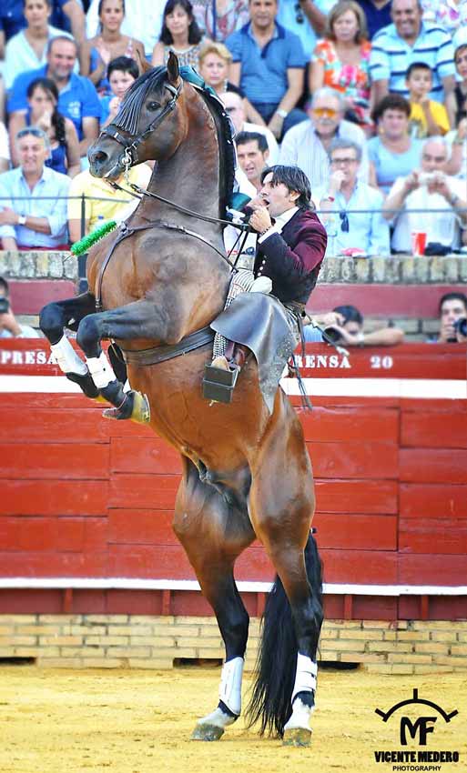 Espectacular adorno de Diego Ventura. (FOTO: Vicente Medero)