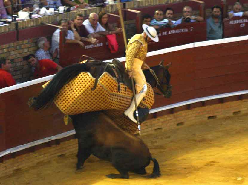 Espectacular derribo del picador en el quinto toro.