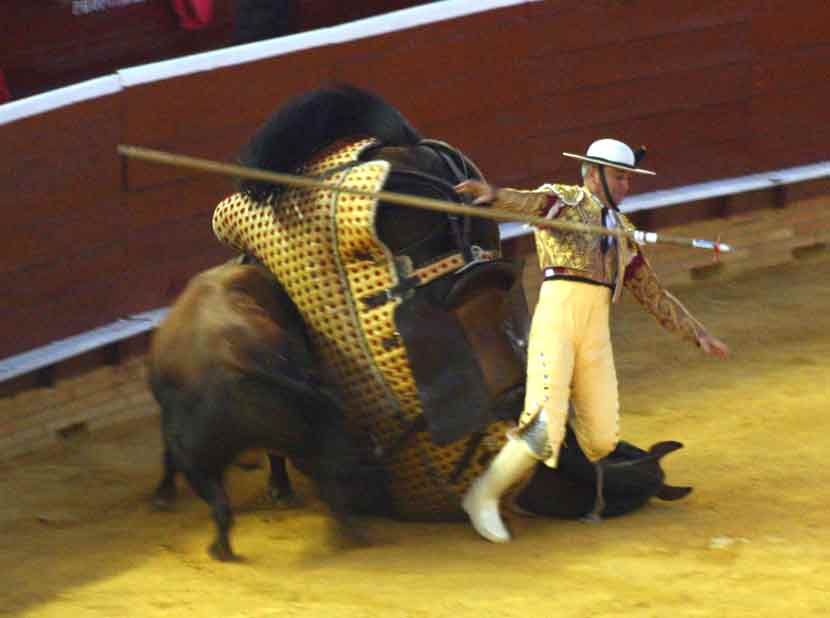 La caída fue aparatosa, sobre el cuello del caballo.