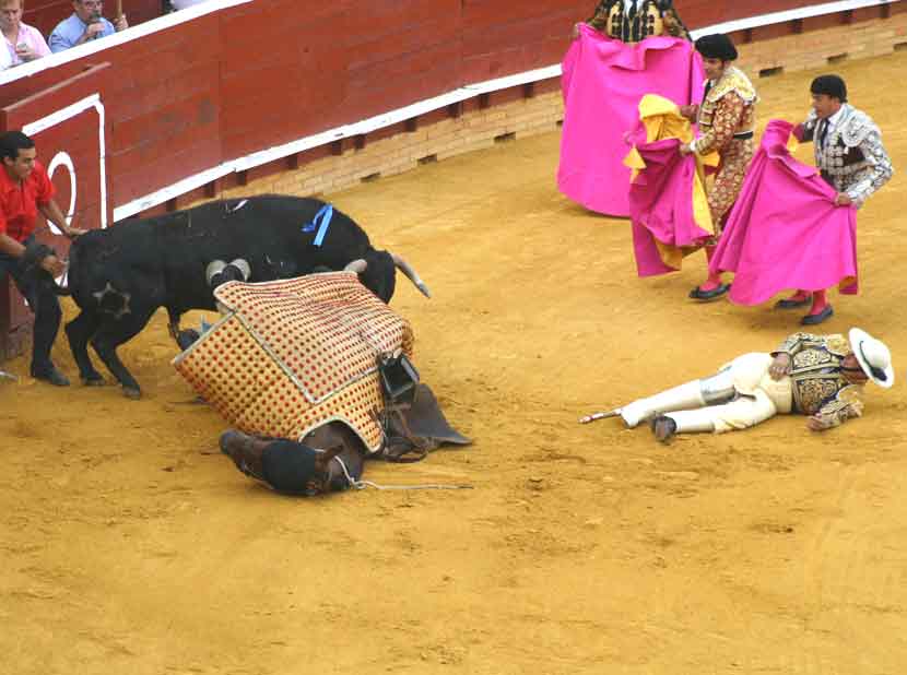 Espectacular derribo del picador sevillano Cristóbal Cruz en el primero toro del festejo.