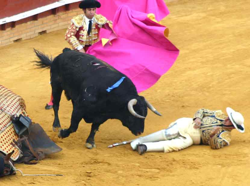 El picador de Morante de la Puebla quedó en el ruedo a merced de las astas del toro de Jandilla.