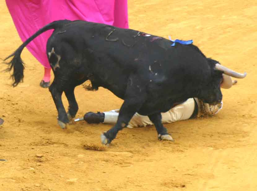 El toro pasó por su lado sin embestirle.