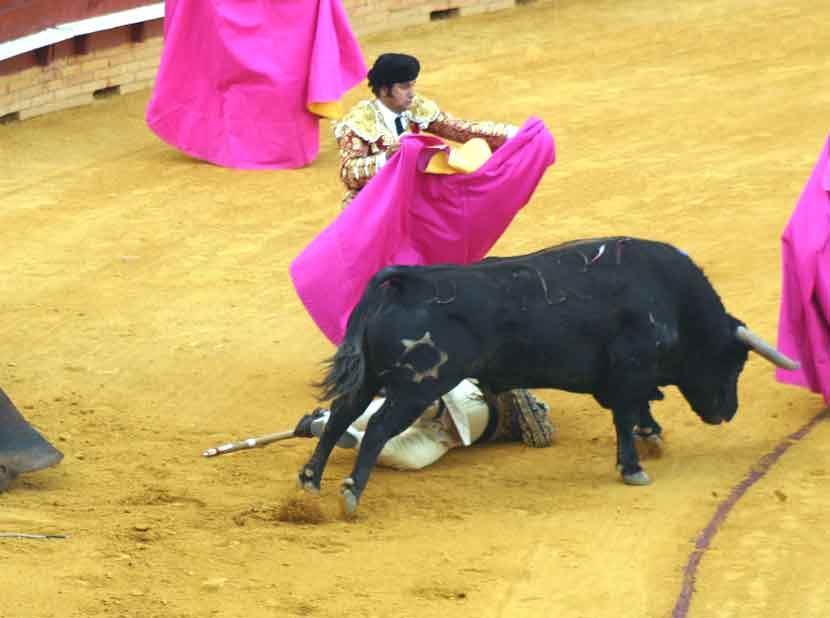 La suerte le ha acompañado esta tarde.