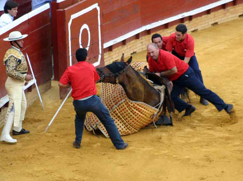 Otra vez preparado para seguir montando.