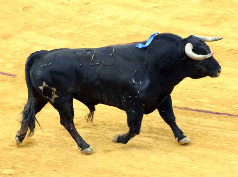 El primero de Jandilla.