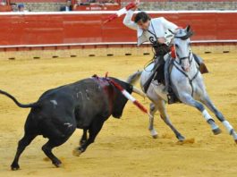 El rejoneador onubense Andrés Romero. (FOTO: Vicente Medero)