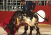 Miguel Báez 'Litri' toreando hoy en el festival celebrado en Beaucaire (Francia). (FOTO: Mica Cressenty/mundotoro.com)