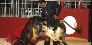 Miguel Báez 'Litri' toreando hoy en el festival celebrado en Beaucaire (Francia). (FOTO: Mica Cressenty/mundotoro.com)