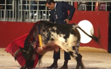 Litri triunfa en un festival Miguel Báez 'Litri' toreando hoy en el festival celebrado en Beaucaire (Francia). (FOTO: Mica Cressenty/mundotoro.com)