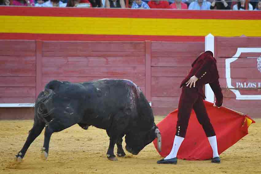 Antonio Nazaré.