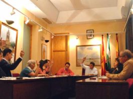 Momento de la votación, con el apoyo de PP e IU, y la abstención de PSOE. (FOTO: Zalamea Noticias)