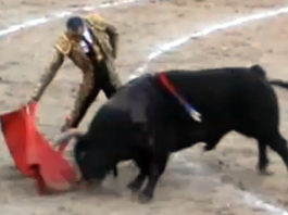 David Luguillano con el buen quinto, al que le cortó las dos orejas. (IMAGEN: mundotoro.com)