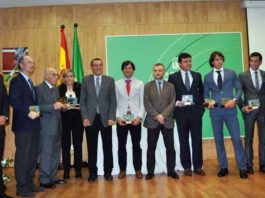 Todos los premiados por la temporada 2013. (FOTO: Arizmendi)