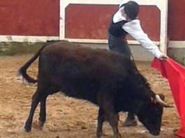 Emilio Silvera toreando en el Bolsín de Ciudad Rodrigo el pasado fin de semana.