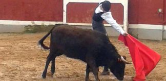 Emilio Silvera toreando en el Bolsín de Ciudad Rodrigo el pasado fin de semana.