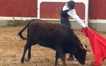 Juan Ramón Jiménez y Silvera, en la tercera fase del Bolsín de Ciudad Rodrigo Emilio Silvera toreando en el Bolsín de Ciudad Rodrigo el pasado fin de semana.