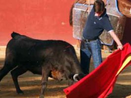 El novillero onubense Emilio Silvera.