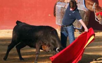 El onubense Emilio Silvera se clasifica para la cuarta fase de Ciudad Rodrigo El novillero onubense Emilio Silvera.