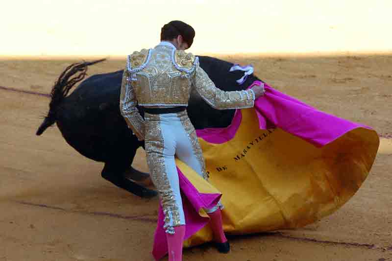 Posada de Maravillas.