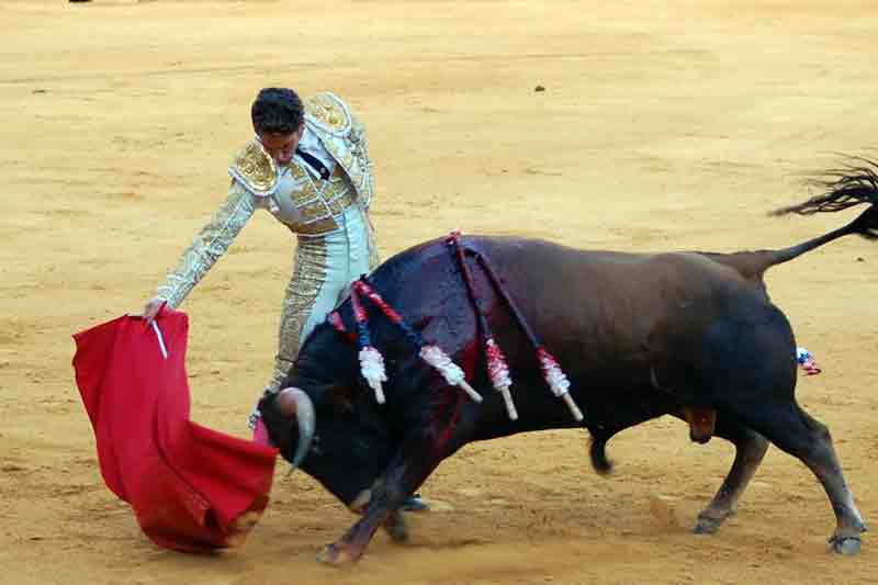 Posada de Maravillas.