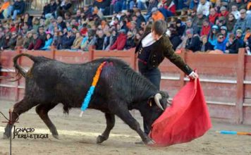 Un buen natural de Silvera hoy en Ciudad Rodrigo. (FOTO: Ignacio Perelétegui)