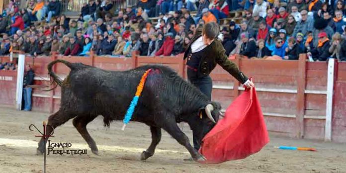 Un buen natural de Silvera hoy en Ciudad Rodrigo. (FOTO: Ignacio Perelétegui)