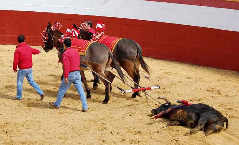 Vuelta al ruedo al quinto.