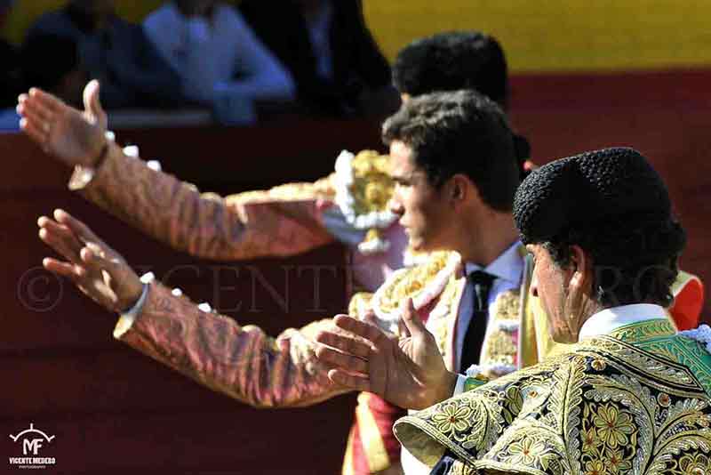 Los noveles de hoy.