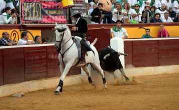 Andrés Romero, recibiendo a portagayola a uno de sus astados esta tarde en Huesca.