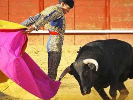 El novillero onubense David de Miranda.