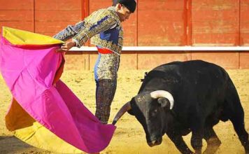 David de Miranda, silencios en la novillada de Arnedo El novillero onubense David de Miranda.