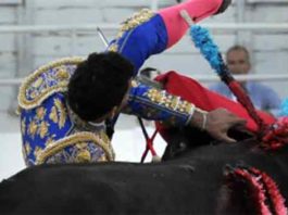 La cornada de David de Miranda hoy en Arles. (FOTO: mundotoro.com)