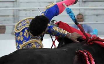 La cornada de David de Miranda hoy en Arles. (FOTO: mundotoro.com)