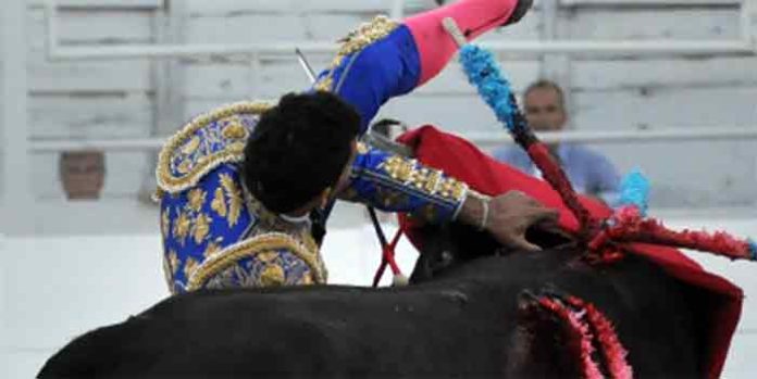 La cornada de David de Miranda hoy en Arles. (FOTO: mundotoro.com)