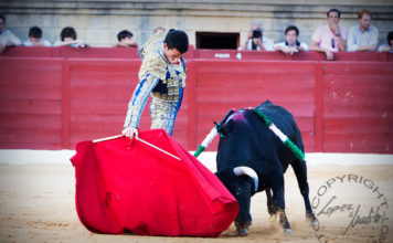 El novillero onubense David de Miranda.