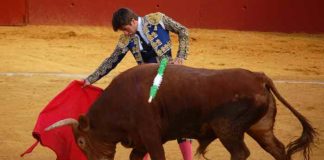 Emilio Silvera, toreando esta tarde en Alcalá del Río. (FOTO: Teresa Carreto)