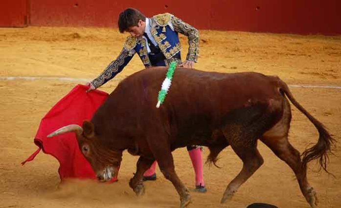 Emilio Silvera, toreando esta tarde en Alcalá del Río. (FOTO: Teresa Carreto)