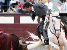 El rejoneador Andrés Romero, silencio en Madrid Andrés Romero, hoy en Madrid. (FOTO: las-ventas.com)