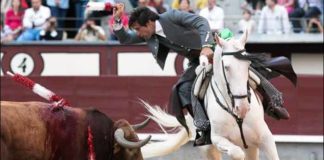 Andrés Romero, hoy en Madrid. (FOTO: las-ventas.com)